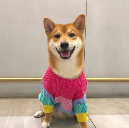 Rainbow sweater small dog puppies clothes