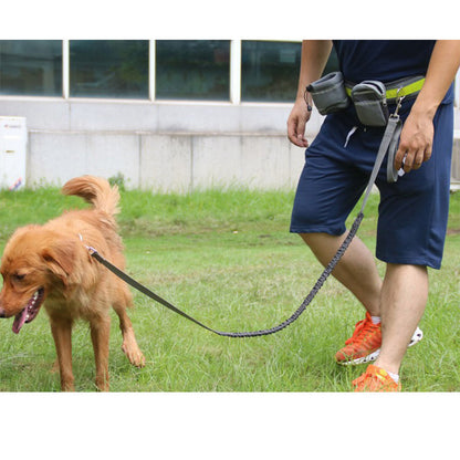 Adjustable Hands Free Leash