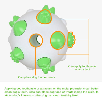 Spherical dog toy molar rod