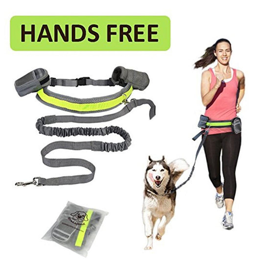 Adjustable Hands Free Leash