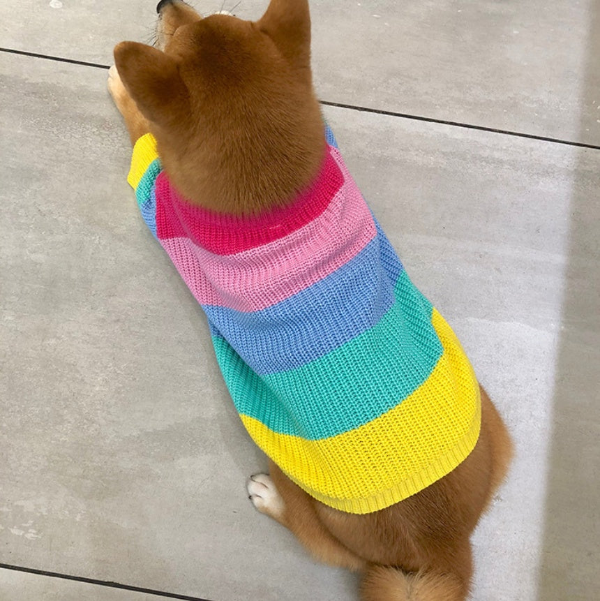 Rainbow sweater small dog puppies clothes