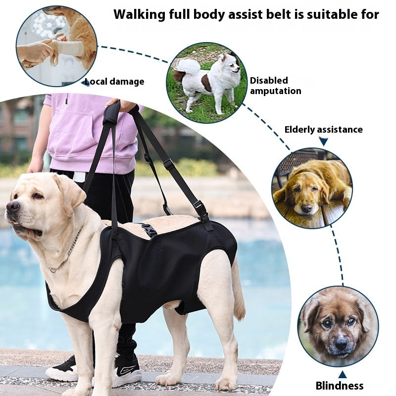 Oxford Cloth Dog Injury Travel Auxiliary Strap