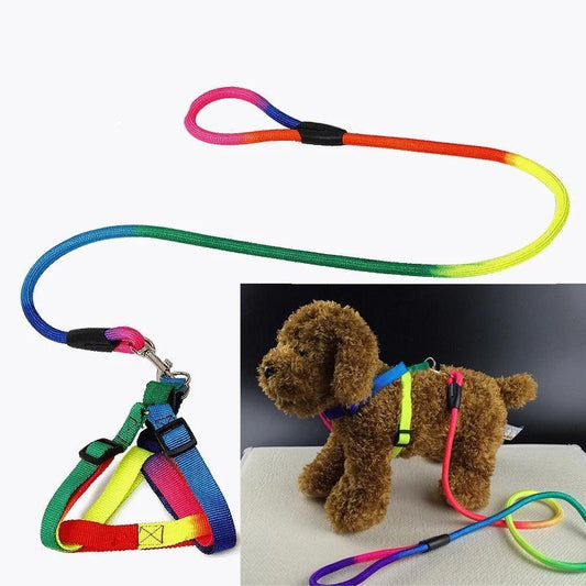 Rainbow Leash & Harness Set