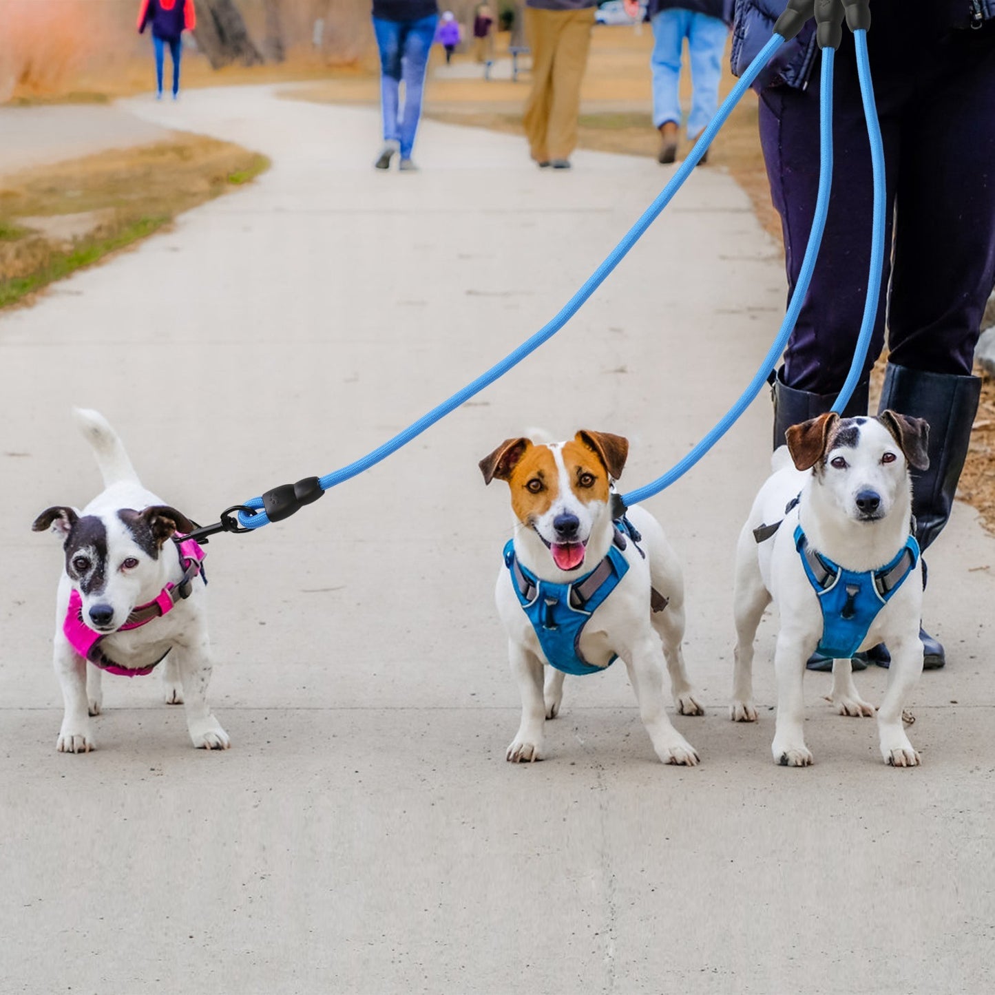 3 Dog Leash Traction Rope Walking Training Lead with Padded Handle