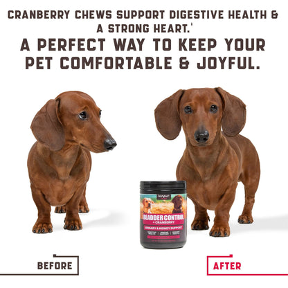 180 Cranberry Chews Dog Cranberry Supplement Natural Aid for Urinary Tract Bladder Kidney Health Immune Support for Dogs of All Ages and Breeds Duck Flavor