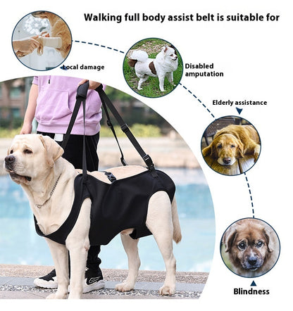 Oxford Cloth Dog Injury Travel Auxiliary Strap